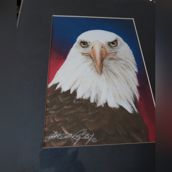 Bald Eagle print - Picture 9 of 15